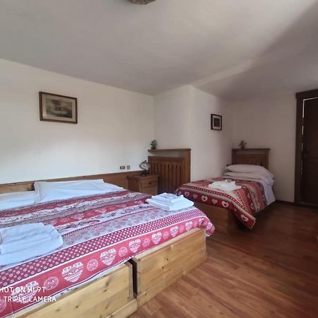 La Favorita Bed & Breakfast Lozzo Cadore Luaran gambar