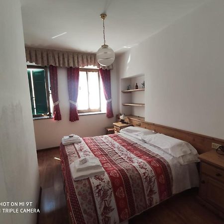 La Favorita Bed & Breakfast Lozzo Cadore Luaran gambar