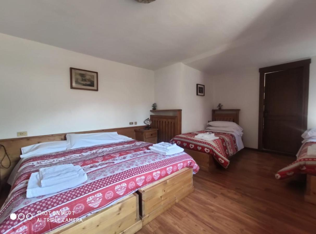 La Favorita Bed & Breakfast Lozzo Cadore Luaran gambar